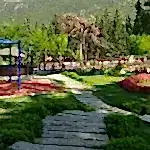 Park Yapımı