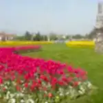 Park Yapımı