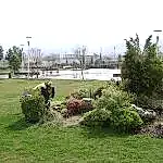 Park ve Yeşil Alan Bakımı