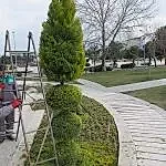 Park ve Yeşil Alan Bakımı