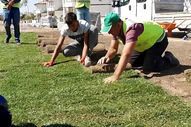 ankara hazır çim,hazır doğal çim,rulo çim,rulo çim ankara,rulo çim çeşitleri,rulo çim fiyatları, rulo doğal çim uygulaması